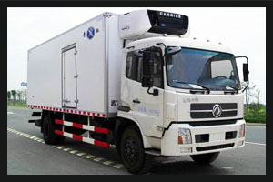  Dongfeng